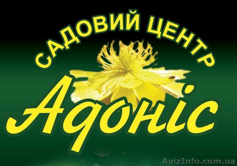 Садовый центр "Адонис" - <ro>Изображение</ro><ru>Изображение</ru> #1, <ru>Объявление</ru> #235480