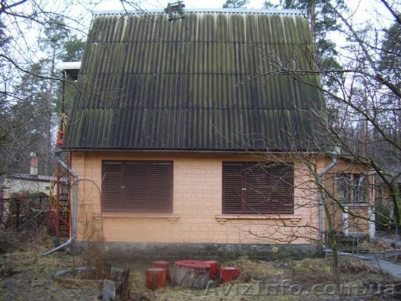 Продам дачу в Киевской области - <ro>Изображение</ro><ru>Изображение</ru> #4, <ru>Объявление</ru> #225909