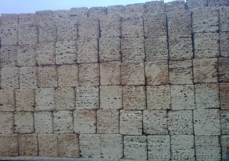 Камень ракушечник - <ro>Изображение</ro><ru>Изображение</ru> #2, <ru>Объявление</ru> #217023