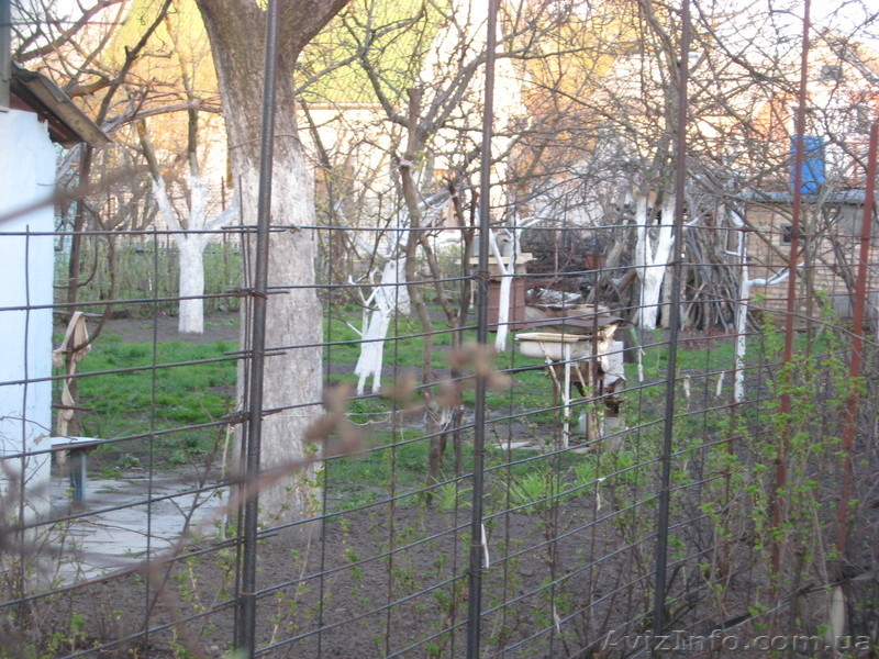 Осокорки. 2.5км от М.Славутич - <ro>Изображение</ro><ru>Изображение</ru> #5, <ru>Объявление</ru> #238585