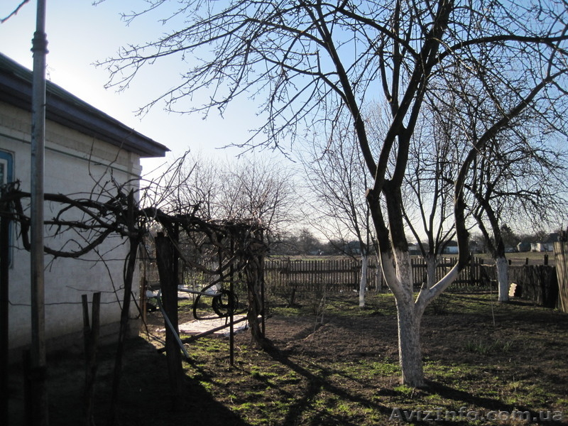 Продам дом в с. Карпиловка Козелецкий р - <ro>Изображение</ro><ru>Изображение</ru> #3, <ru>Объявление</ru> #242282