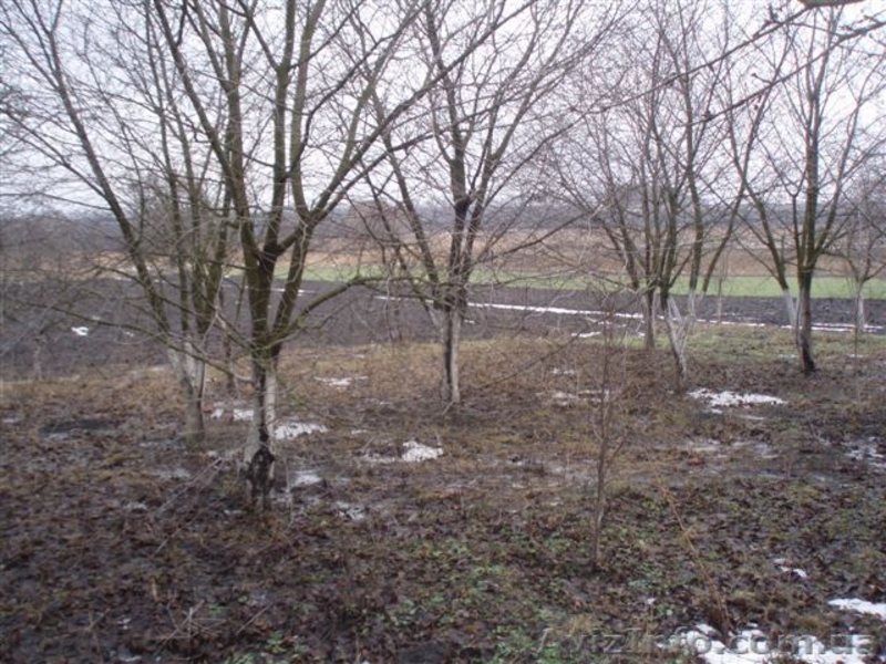 дом с участком 70 соток в 76 км от Киева за 35000 продам срочно - <ro>Изображение</ro><ru>Изображение</ru> #3, <ru>Объявление</ru> #240836