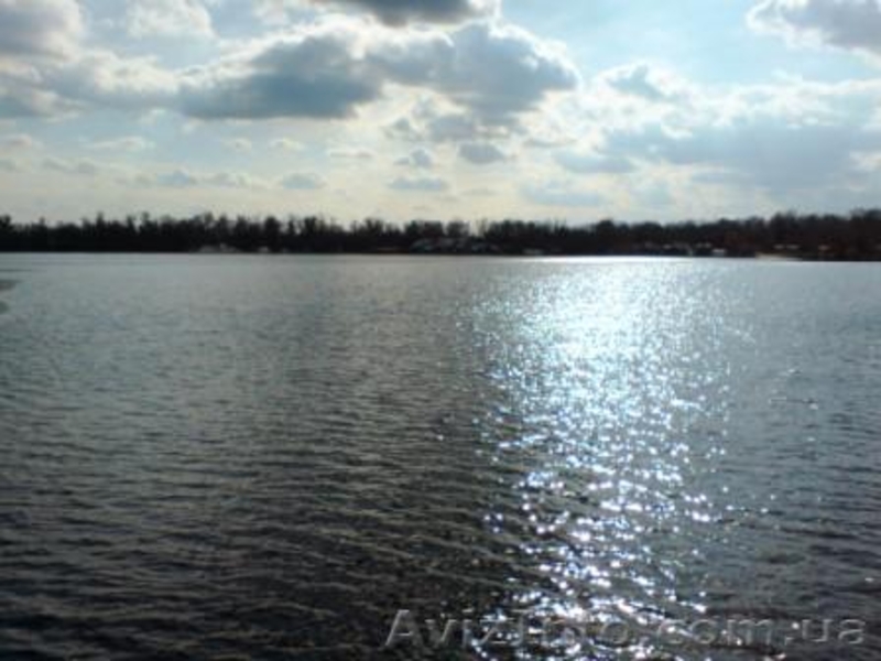 дом на воде в заповедной черте Киева, о.Водников - <ro>Изображение</ro><ru>Изображение</ru> #7, <ru>Объявление</ru> #261932