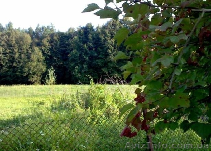 Продам приватизированный участок с домом - <ro>Изображение</ro><ru>Изображение</ru> #2, <ru>Объявление</ru> #268048