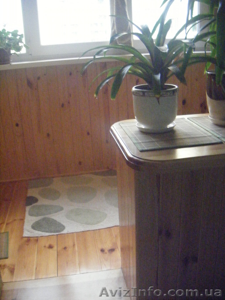 Окна, балконы, обшивка - <ro>Изображение</ro><ru>Изображение</ru> #6, <ru>Объявление</ru> #264744