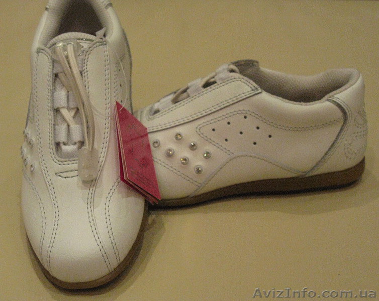 ООО "Андрийко"                          - <ro>Изображение</ro><ru>Изображение</ru> #3, <ru>Объявление</ru> #264368