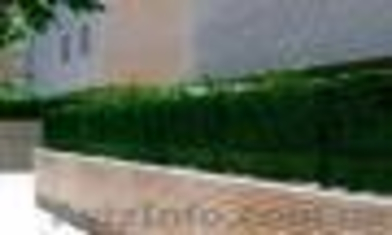 Благоустройство территорий, асфальтирование, озеленение - <ro>Изображение</ro><ru>Изображение</ru> #5, <ru>Объявление</ru> #268376