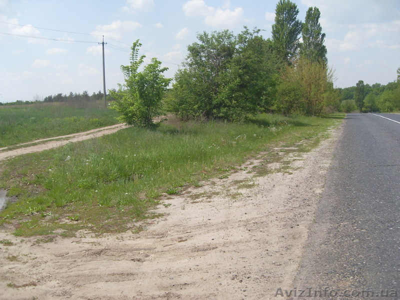 Срочно продам земельну ділянку по низьким цінам! - <ro>Изображение</ro><ru>Изображение</ru> #1, <ru>Объявление</ru> #267852