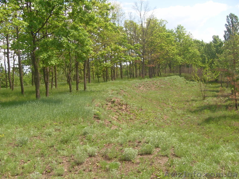 Срочно продам земельну ділянку по низьким цінам! - <ro>Изображение</ro><ru>Изображение</ru> #2, <ru>Объявление</ru> #267852