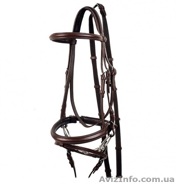 Конная амуниция, экипировка, одежда, аксессуары - <ro>Изображение</ro><ru>Изображение</ru> #6, <ru>Объявление</ru> #278483