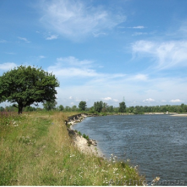 одаю земельну ділянку в с.Зазим’є - <ro>Изображение</ro><ru>Изображение</ru> #2, <ru>Объявление</ru> #280954