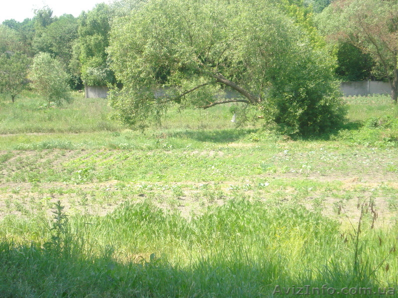 Участок в селе Вита-Почтова - <ro>Изображение</ro><ru>Изображение</ru> #2, <ru>Объявление</ru> #290335