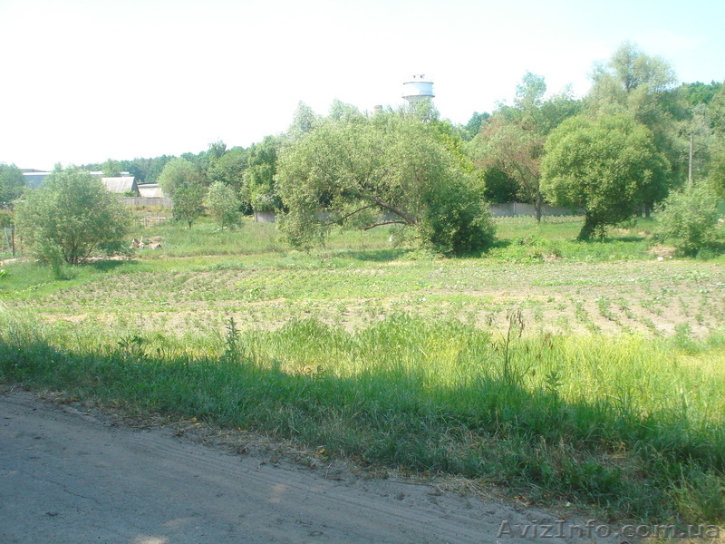 Участок в селе Вита-Почтова - <ro>Изображение</ro><ru>Изображение</ru> #3, <ru>Объявление</ru> #290335