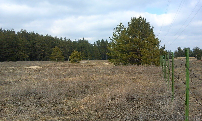 Участок в заповеднике под гостиницу, особняк в Святогорье - <ro>Изображение</ro><ru>Изображение</ru> #4, <ru>Объявление</ru> #290167