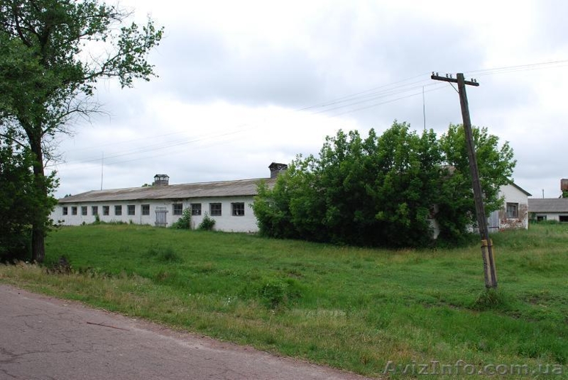 Продам или сдам в аренду свинарники, коровники, овощехранилище Киев - <ro>Изображение</ro><ru>Изображение</ru> #2, <ru>Объявление</ru> #286778