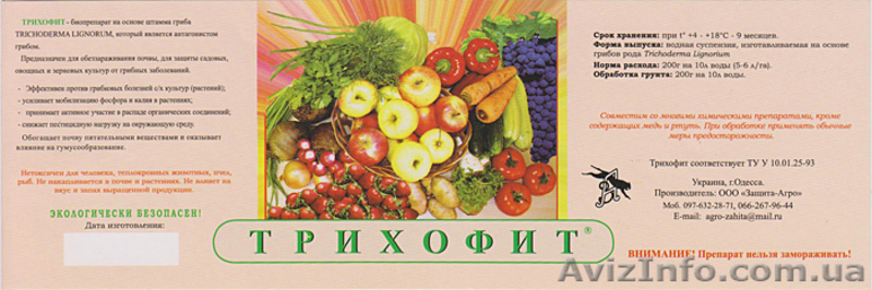Гаупсин купить Трихофит - <ro>Изображение</ro><ru>Изображение</ru> #3, <ru>Объявление</ru> #304375