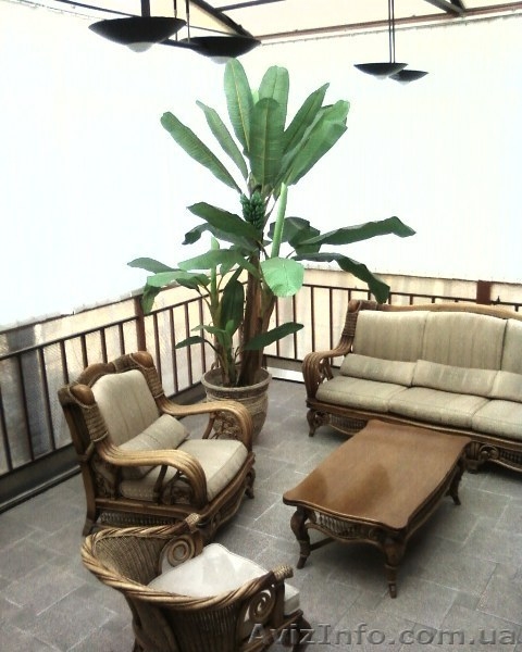 Офис в бизнес-центре 130 м2,250 м2 (делю) - 12 кабинетов с мебелью - <ro>Изображение</ro><ru>Изображение</ru> #7, <ru>Объявление</ru> #333455