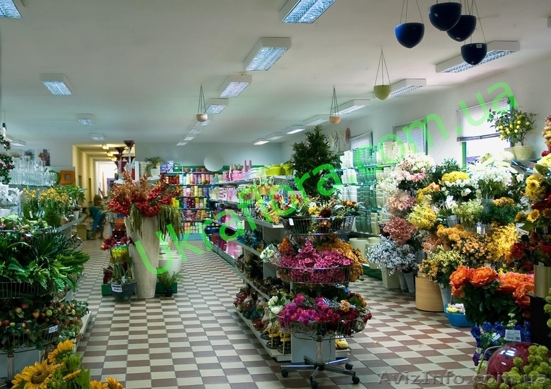 "УКРАФЛОРА" - Цветы оптом и в розницу - <ro>Изображение</ro><ru>Изображение</ru> #5, <ru>Объявление</ru> #327737