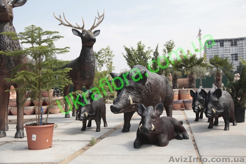 "УКРАФЛОРА" - Цветы оптом и в розницу - <ro>Изображение</ro><ru>Изображение</ru> #6, <ru>Объявление</ru> #327737