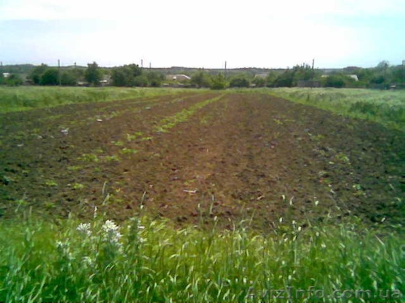 продам участок земли недалеко от моря - <ro>Изображение</ro><ru>Изображение</ru> #3, <ru>Объявление</ru> #323707