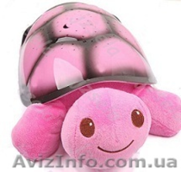 Тедди Музыкальная Черепаха Проектор звездного неба - <ro>Изображение</ro><ru>Изображение</ru> #2, <ru>Объявление</ru> #83319