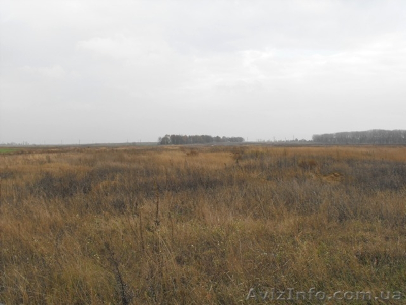 Продажа земли в Барышевке, 55 км. от Киева S 26 соток - <ro>Изображение</ro><ru>Изображение</ru> #1, <ru>Объявление</ru> #333329
