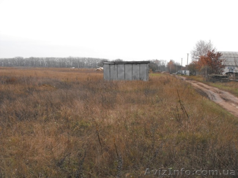 Продажа земли в Барышевке, 55 км. от Киева S 26 соток - <ro>Изображение</ro><ru>Изображение</ru> #2, <ru>Объявление</ru> #333329