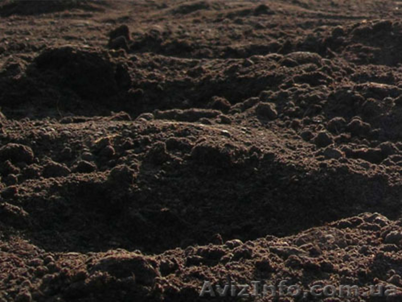 Грунт на подсыпку,чернозем. - <ro>Изображение</ro><ru>Изображение</ru> #2, <ru>Объявление</ru> #337888