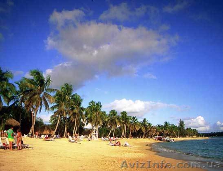 Доминикана - лучший курорт Карибов! - <ro>Изображение</ro><ru>Изображение</ru> #6, <ru>Объявление</ru> #367151