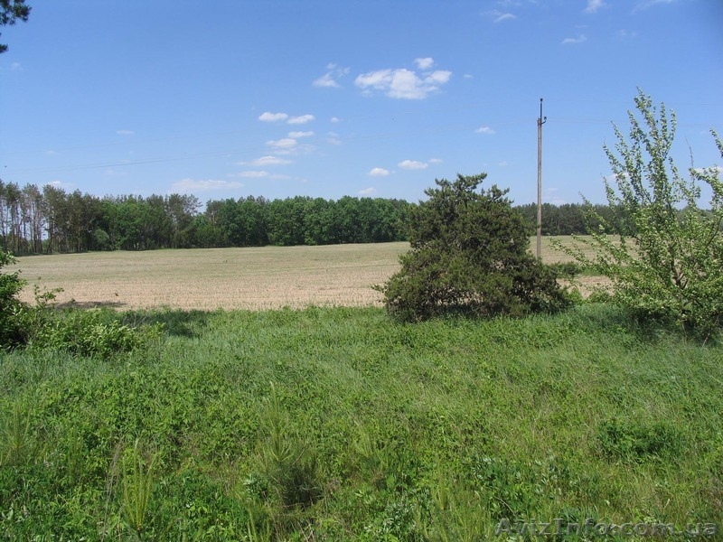 Киевская обл.Макаровский р-н.д.Андреевка. - <ro>Изображение</ro><ru>Изображение</ru> #1, <ru>Объявление</ru> #341158