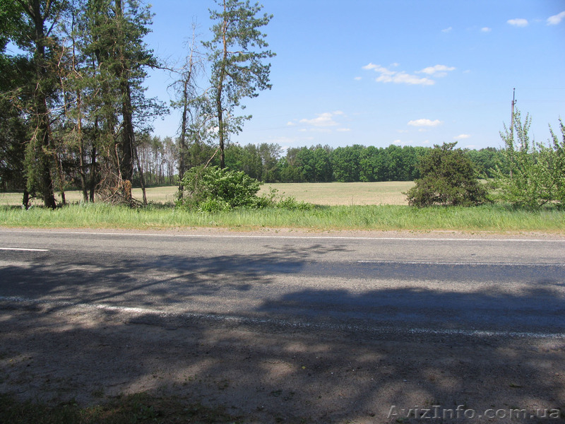 Киевская обл.Макаровский р-н.Лишня. - <ro>Изображение</ro><ru>Изображение</ru> #2, <ru>Объявление</ru> #341174