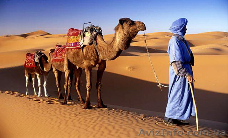 Туры в Марокко по сниженным ценам! - <ro>Изображение</ro><ru>Изображение</ru> #3, <ru>Объявление</ru> #367142