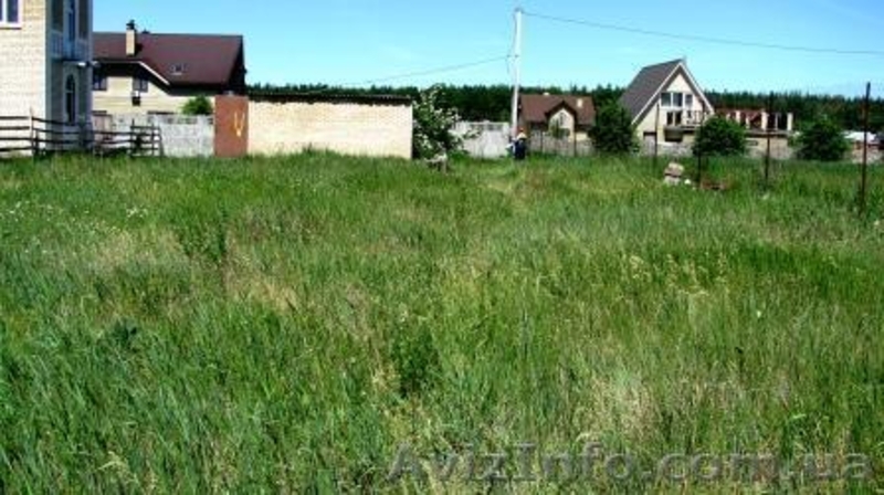 (хозяин) продажа участка 12км от Киева, 3км от Житомирской трассы - <ro>Изображение</ro><ru>Изображение</ru> #5, <ru>Объявление</ru> #347875