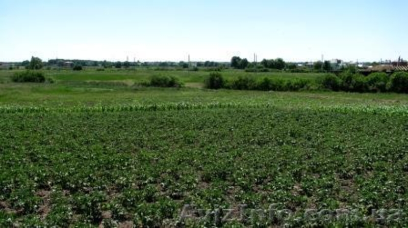 (хозяин) продажа участка 12км от Киева, 3км от Житомирской трассы - <ro>Изображение</ro><ru>Изображение</ru> #1, <ru>Объявление</ru> #347875