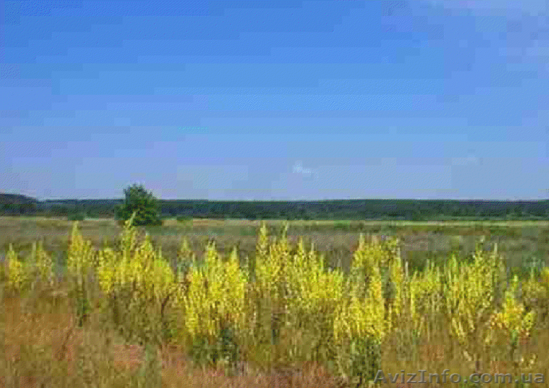 Земельные участки 12соток по цене 5000$ за участок. - <ro>Изображение</ro><ru>Изображение</ru> #7, <ru>Объявление</ru> #349991