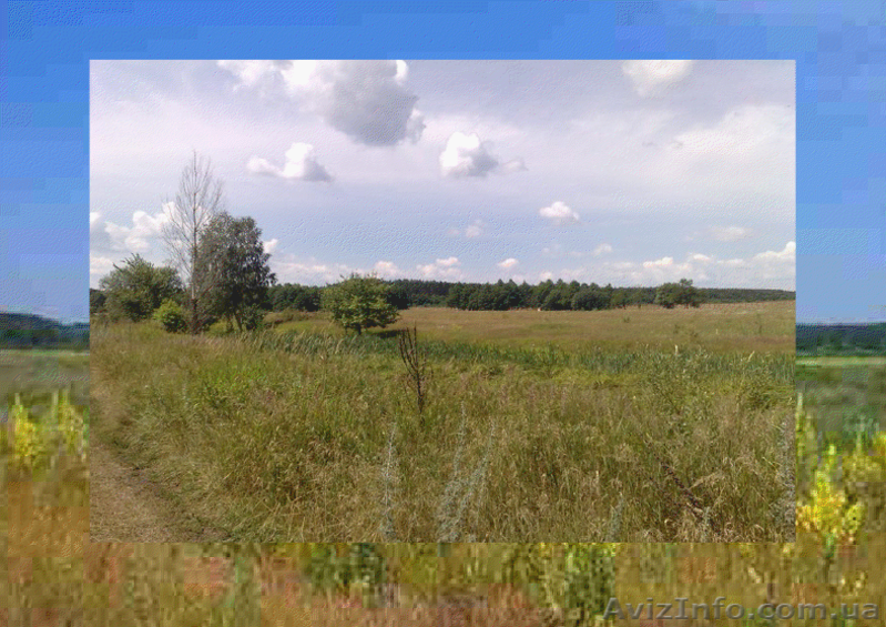 Земельные участки 12соток по цене 5000$ за участок. - <ro>Изображение</ro><ru>Изображение</ru> #9, <ru>Объявление</ru> #349991