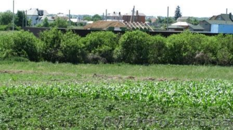 (хозяин) продажа участка 12км от Киева, 3км от Житомирской трассы - <ro>Изображение</ro><ru>Изображение</ru> #8, <ru>Объявление</ru> #347875