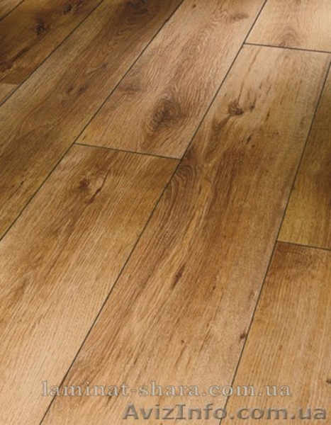 Ламинат Parador 32 класс - <ro>Изображение</ro><ru>Изображение</ru> #4, <ru>Объявление</ru> #394710