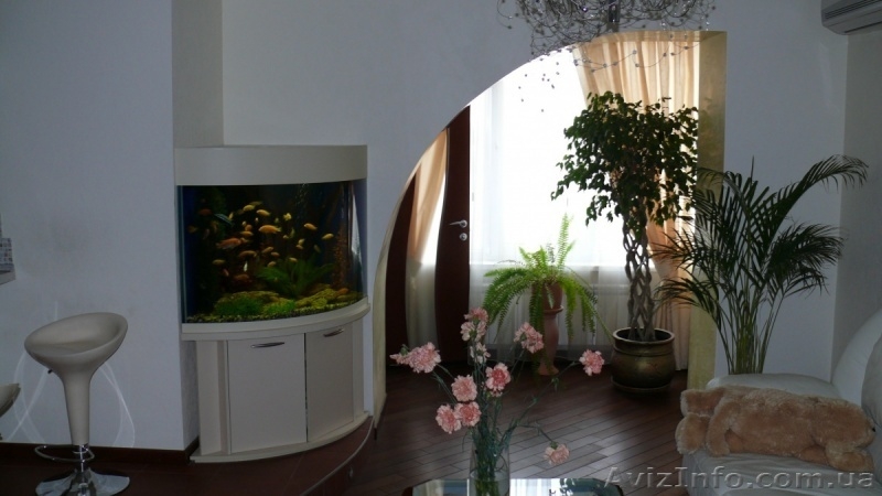 акваріуми-виготовлення, обслуговування - <ro>Изображение</ro><ru>Изображение</ru> #5, <ru>Объявление</ru> #372398