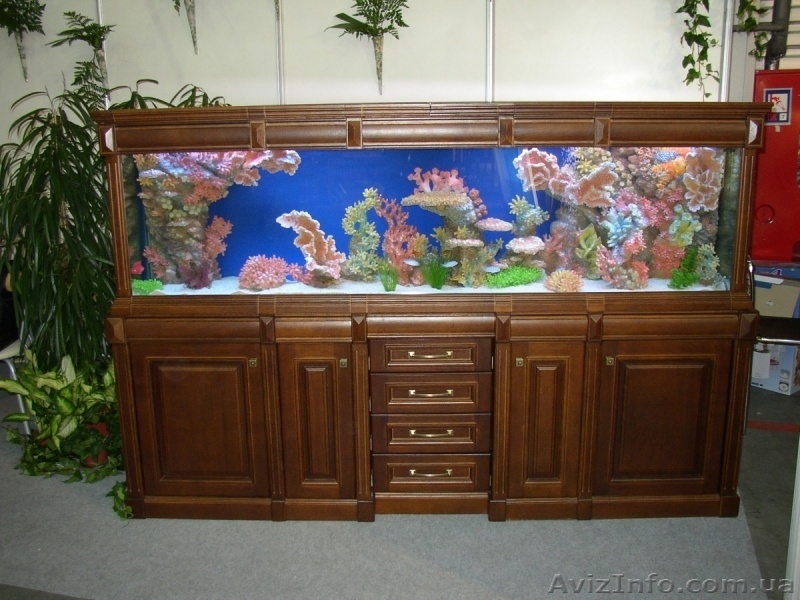 акваріуми-виготовлення, обслуговування - <ro>Изображение</ro><ru>Изображение</ru> #4, <ru>Объявление</ru> #372398