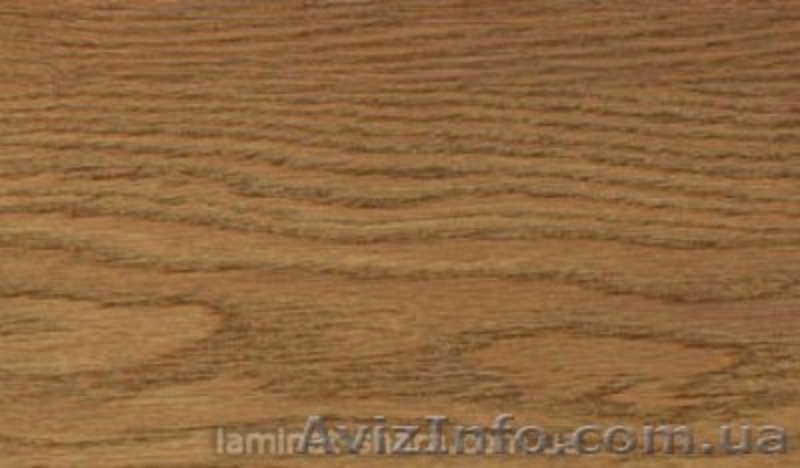 Ламинат BALTERIO Magnitude 32 класс - <ro>Изображение</ro><ru>Изображение</ru> #1, <ru>Объявление</ru> #394689