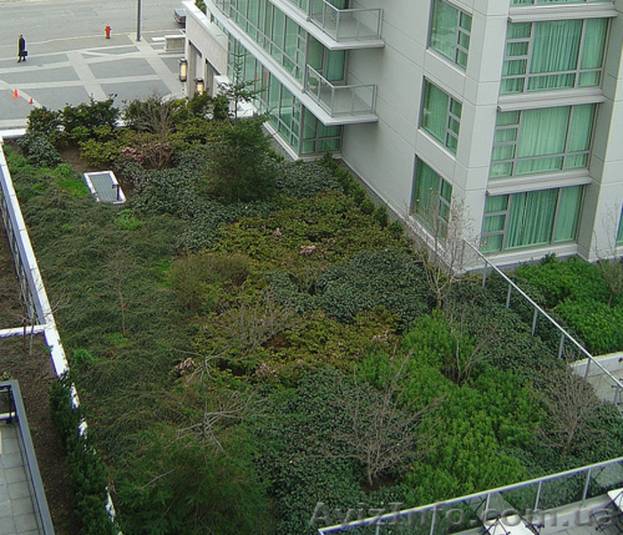 ландшафтний дизайн від Патоля:газони та водоєми                                  - <ro>Изображение</ro><ru>Изображение</ru> #3, <ru>Объявление</ru> #384363