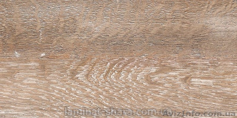 Ламинат BALTERIO Tradition Duo 32 класс - <ro>Изображение</ro><ru>Изображение</ru> #1, <ru>Объявление</ru> #394701