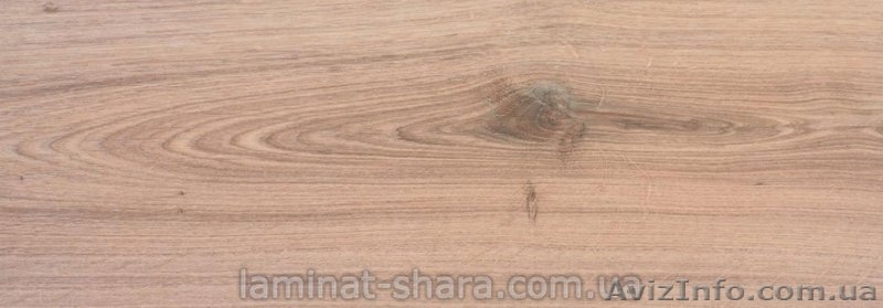 Ламинат BALTERIO CONFERENCE 34 класс - <ro>Изображение</ro><ru>Изображение</ru> #3, <ru>Объявление</ru> #394704