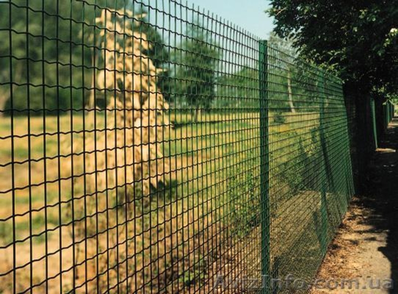 Забор из сетки с полимерным покрытием - <ro>Изображение</ro><ru>Изображение</ru> #1, <ru>Объявление</ru> #373195