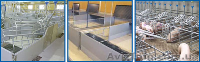 Элеватор, Зерносушилка, Свинокомплекс, МТФ, Птичник под ключ. Кредит - <ro>Изображение</ro><ru>Изображение</ru> #2, <ru>Объявление</ru> #396023