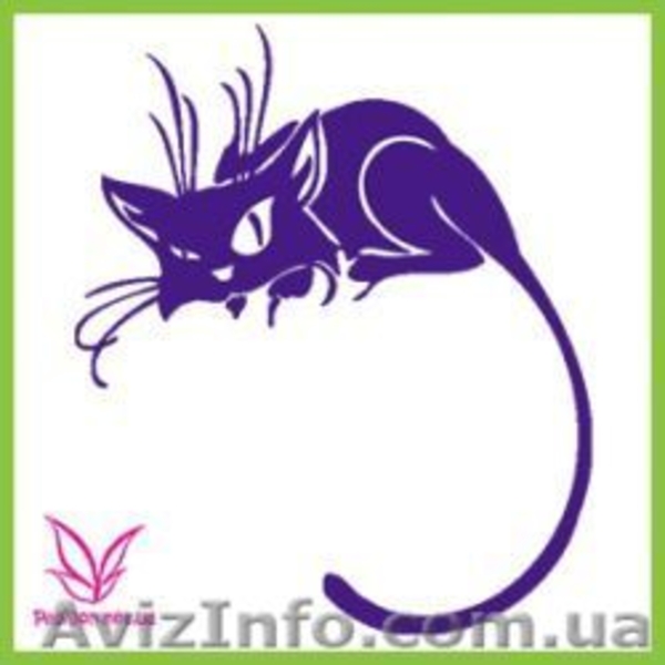 ТРАФАРЕТЫ ДЛЯ БИОТАТУ - <ro>Изображение</ro><ru>Изображение</ru> #1, <ru>Объявление</ru> #393776