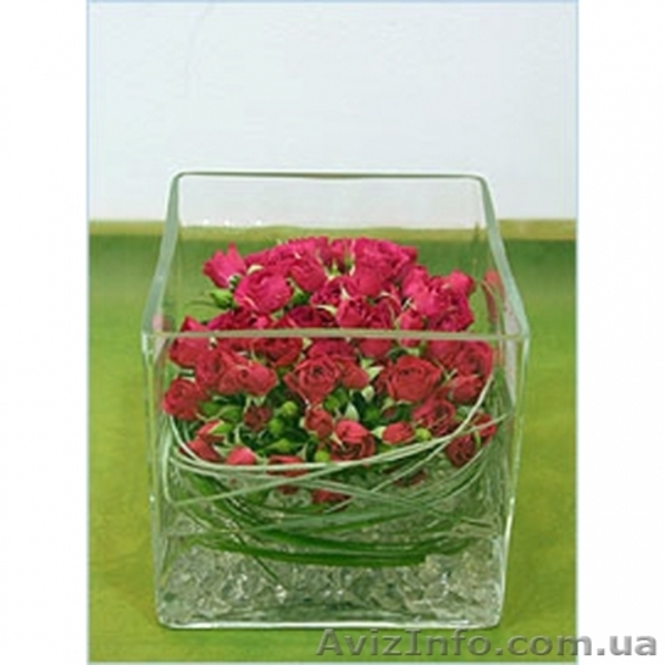 Аграрный гидрогель - <ro>Изображение</ro><ru>Изображение</ru> #3, <ru>Объявление</ru> #400193