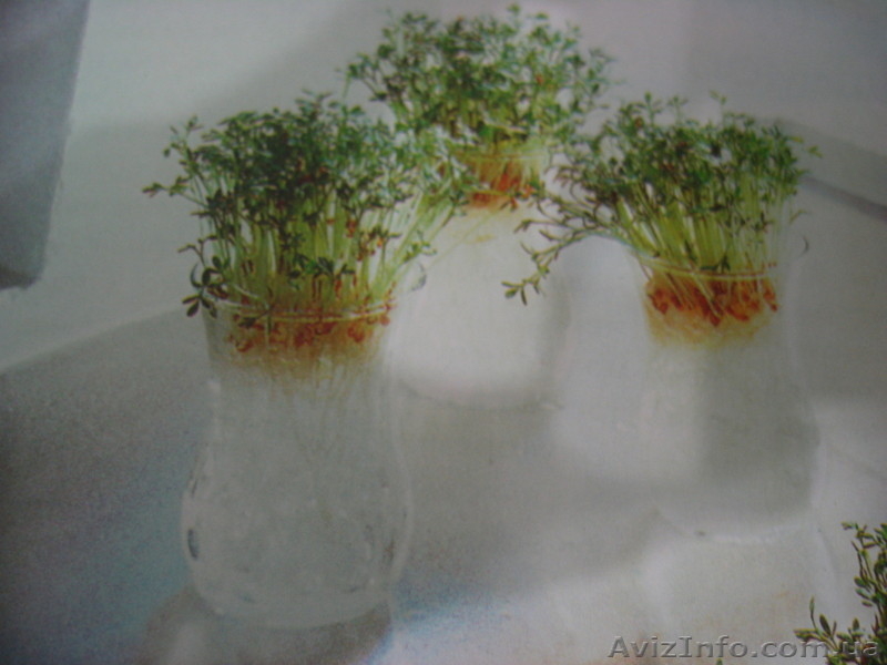 Аграрный гидрогель - <ro>Изображение</ro><ru>Изображение</ru> #6, <ru>Объявление</ru> #400193