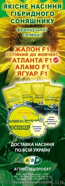 Семена подсолнечника Жалон,Атланта,Аламо,Ягуар - <ro>Изображение</ro><ru>Изображение</ru> #6, <ru>Объявление</ru> #420512